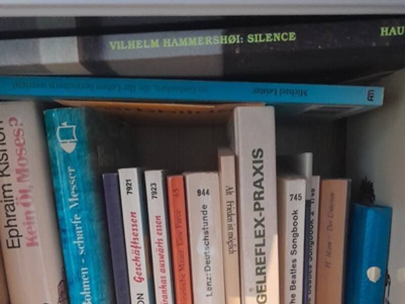 In einem Bücherregal stehen verschiedene Bücher dicht nebeneinander, wobei ihre Buchrücken sichtbar sind.